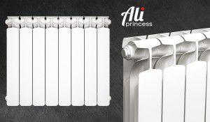 Ali Princess Radiators