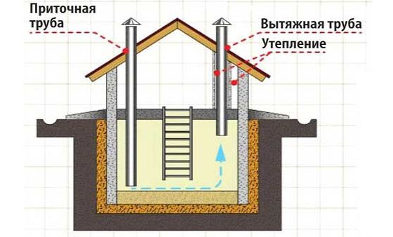 Schema 1