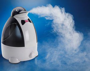 Humidificador de vapor