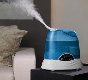 Steam humidifier